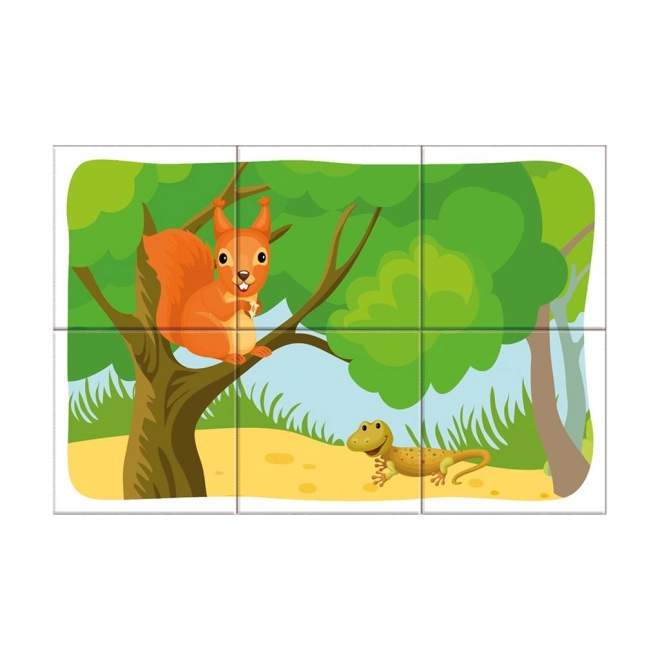 Forest Animals Picture Blocks