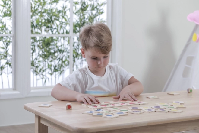 Wooden Color Puzzle