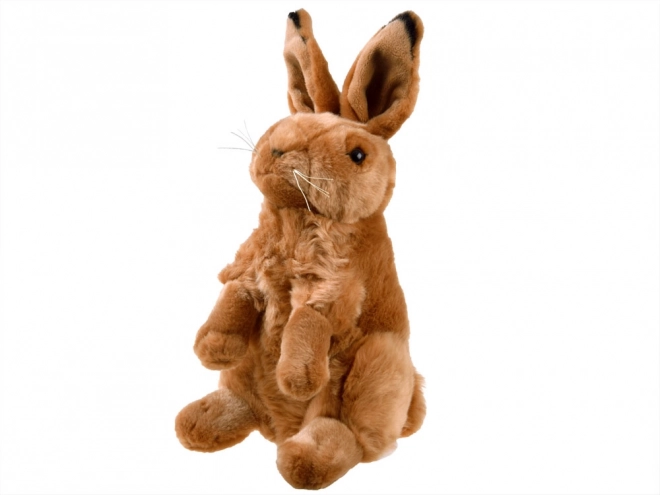 Plush Sitting Hare Toy