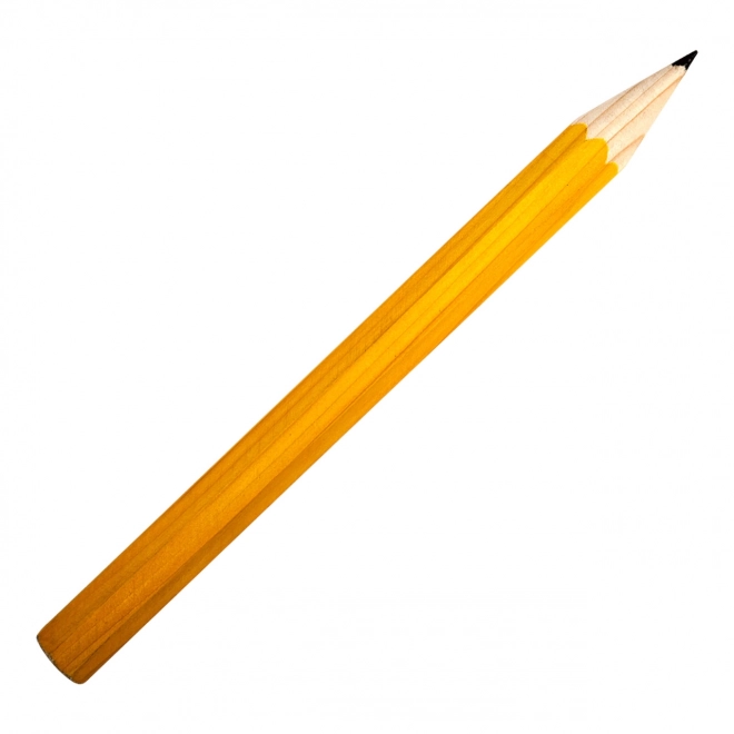 Large Yellow Pencil