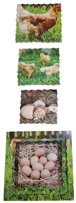 Chicken Life Cycle Wooden Layered Puzzle