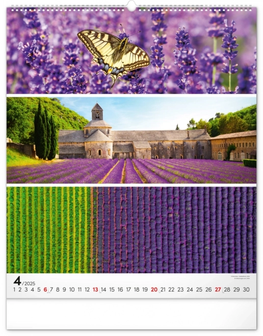 Wall Calendar Palette 2025