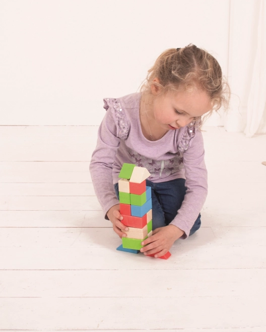 Bigjigs Baby Wooden Connect Blocks Primary Set