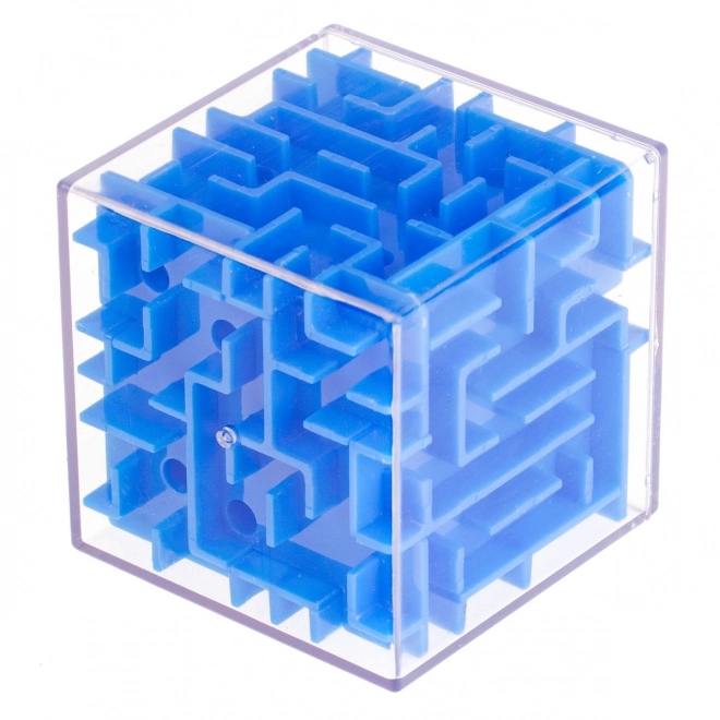 3D Puzzle Maze Skill Game