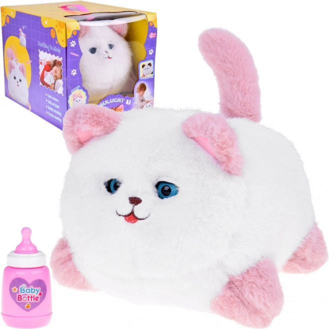 Interactive Cat Pusia