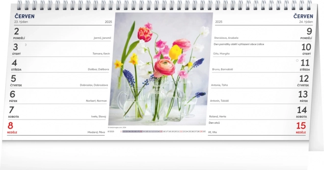 Notique Desk Calendar 2025 - 14 Day Layout