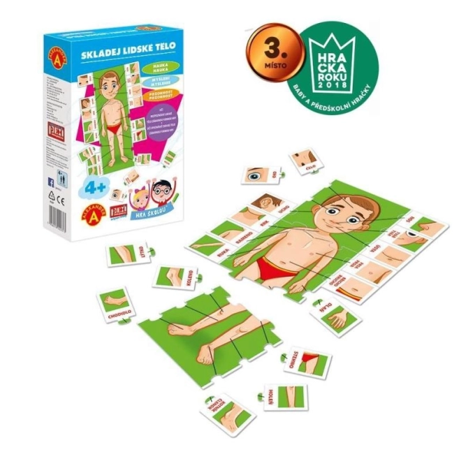 Educational Game - Assemble The Human Body