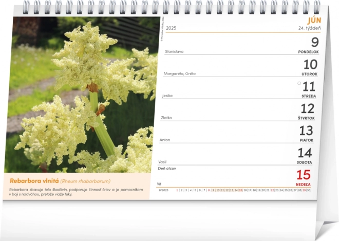 Natural Pharmacy Desk Calendar 2025