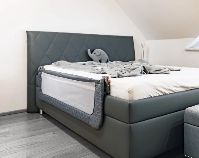 Bed Rail Monna Silver Grey