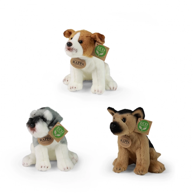 Exclusive Plush Dogs and Cats Eco-Friendly Display