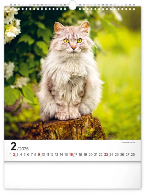 Wall Calendar Cats 2025