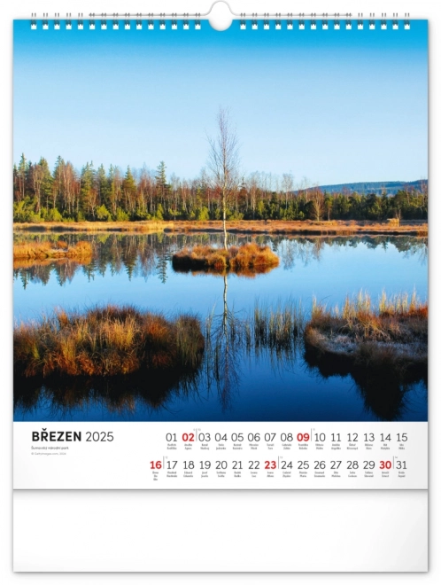 Wall Calendar Bohemian Forest 2025