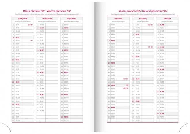 Pink Daily Planner Aprint Neo 2025