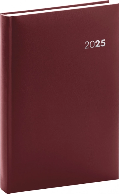 Daily Planner Notebook 2025 by NOTIQUE