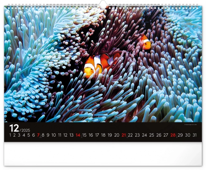 Wall Calendar Ocean 2025