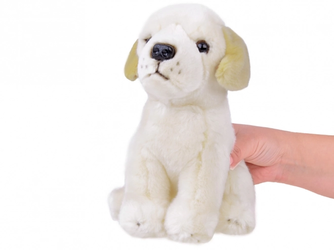 Plush Labrador Dog Soft Toy