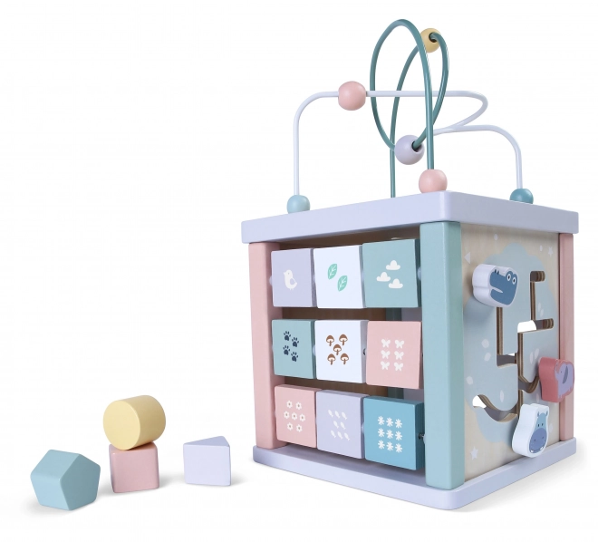 Wooden Learning Cube with Shape Sorter and Clock