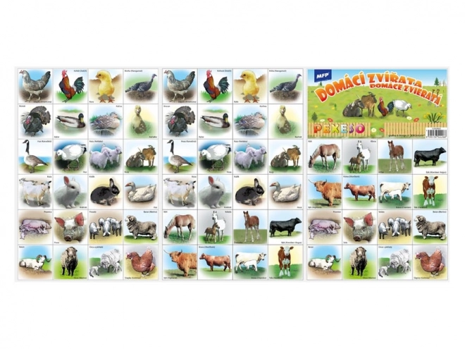 Matching Game with Farm Animals