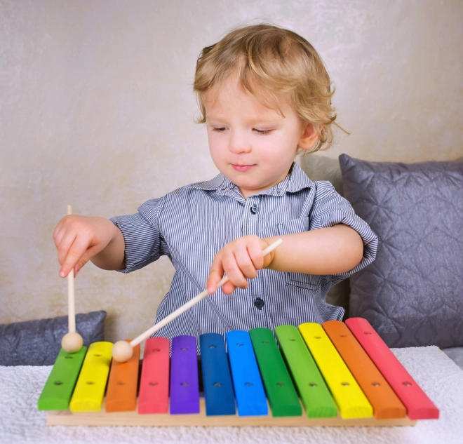 Colorful Wooden Xylophone 12 Tones