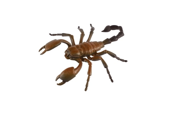 Realistic Insect Models Set