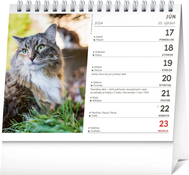 Desk Calendar Cats with Names 2024