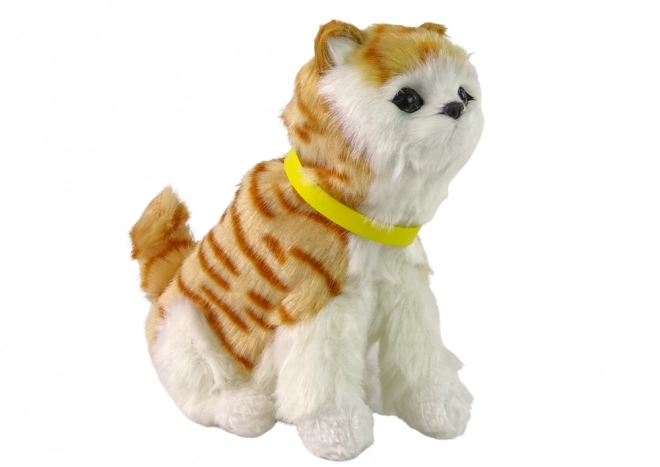 Interactive Plush Cat Toy