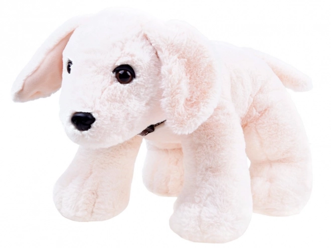 Plush Puppy Soft Toy