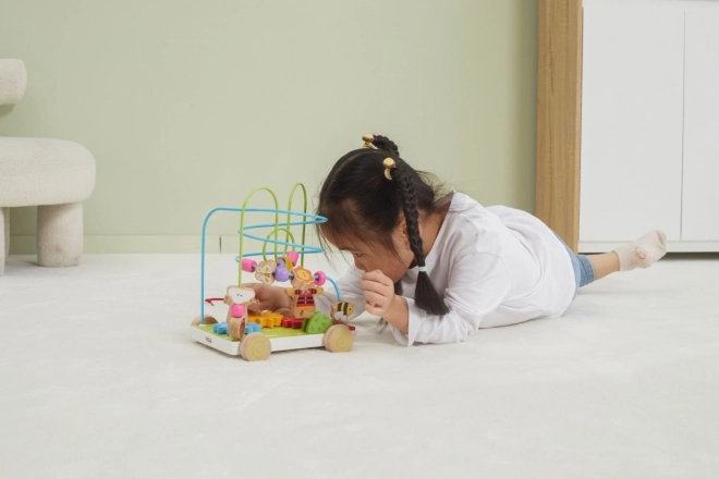 Wooden Pull-Along Maze Toy