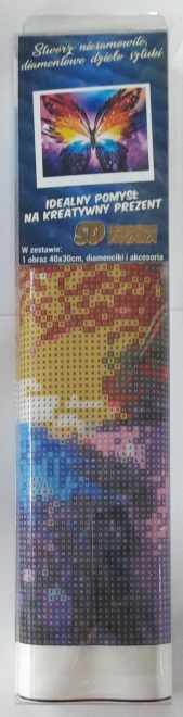 Norimpex Diamantmalerei Farbiger Schmetterling 30x40cm