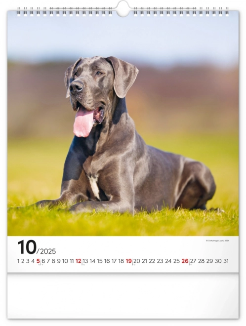 Notique Wall Calendar Dogs 2025