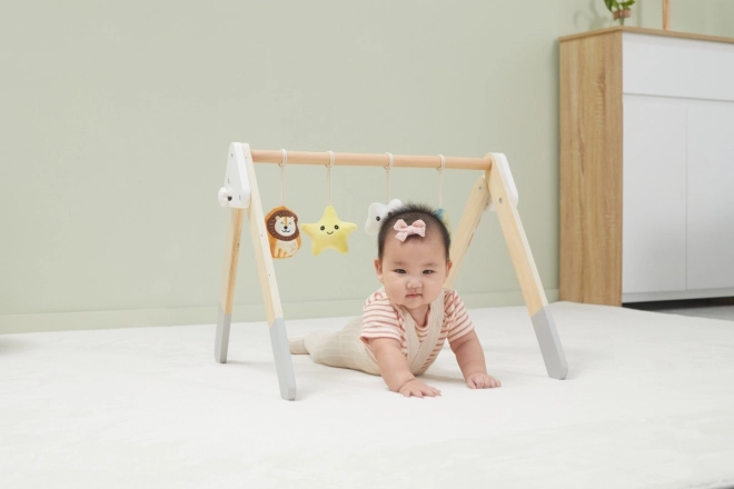 Wooden Baby Gym With Toys