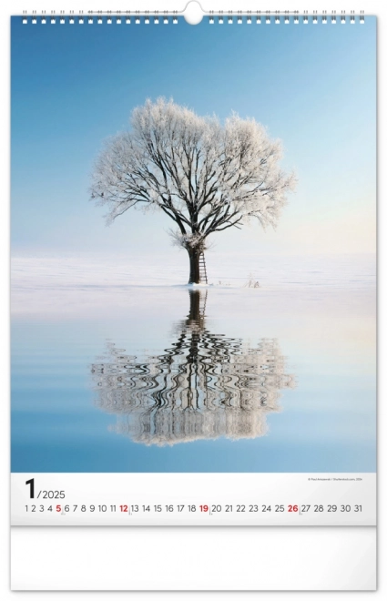 Wall Calendar Trees 2025