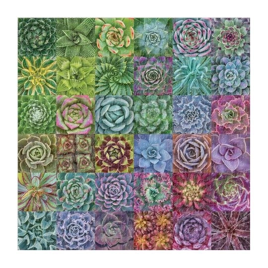 Colorful Succulents Puzzle 500 Pieces