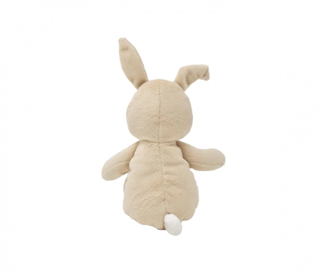 Plush Beige Bunny