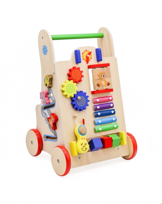 Wooden Walker Educational Cube 6-in-1