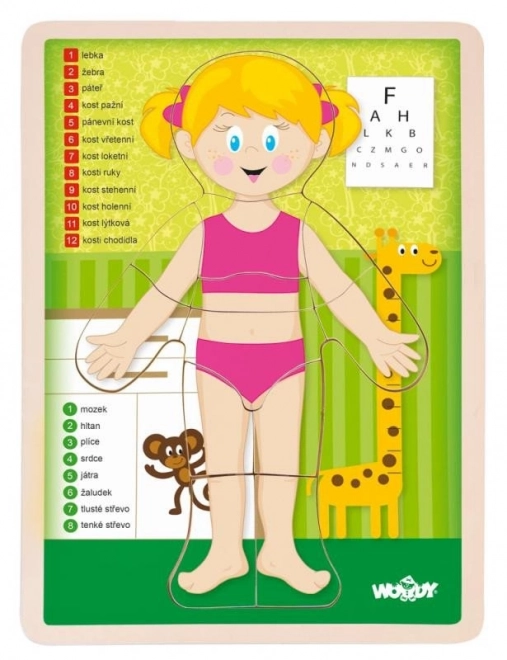 Woody Double-Sided Human Body Puzzle - Girl