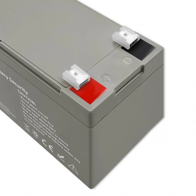 Stable Energy AGM Battery with Security