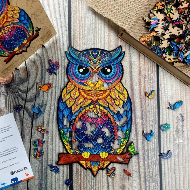 Charming Owl Wooden Color Puzzle