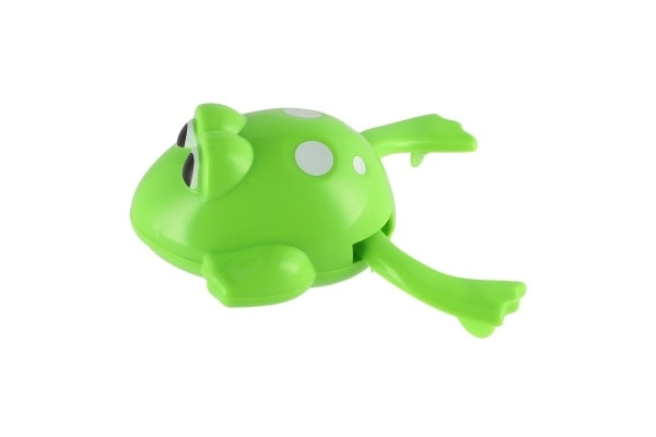 Wind-up Water Frog Toy