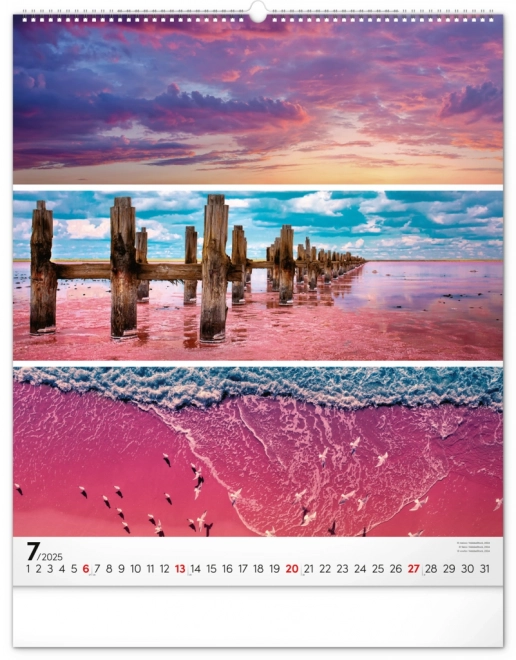 Wall Calendar Palette 2025