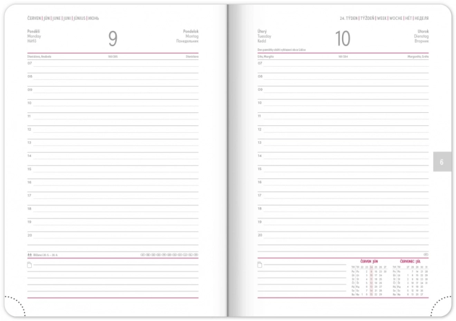 Pink Daily Planner Aprint Neo 2025