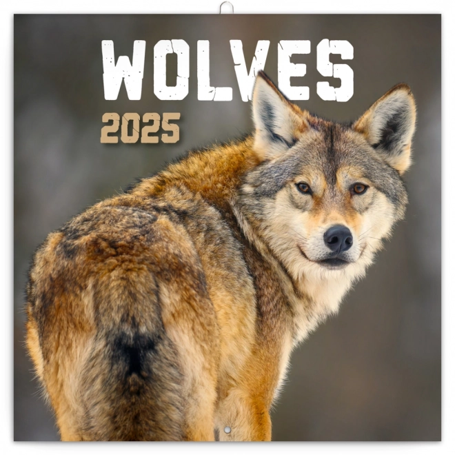 Notique Wolves Note Calendar 2025