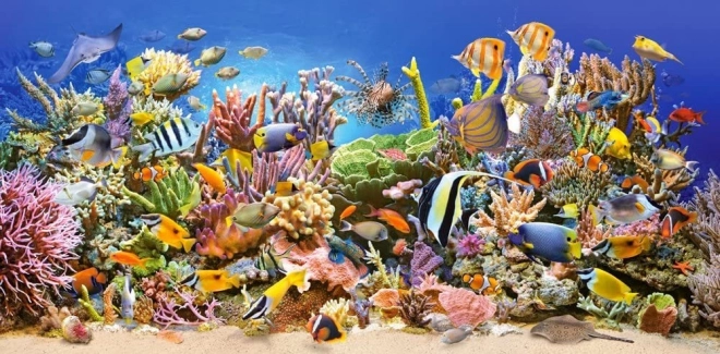 Castorland underwater life puzzle 4000 pieces