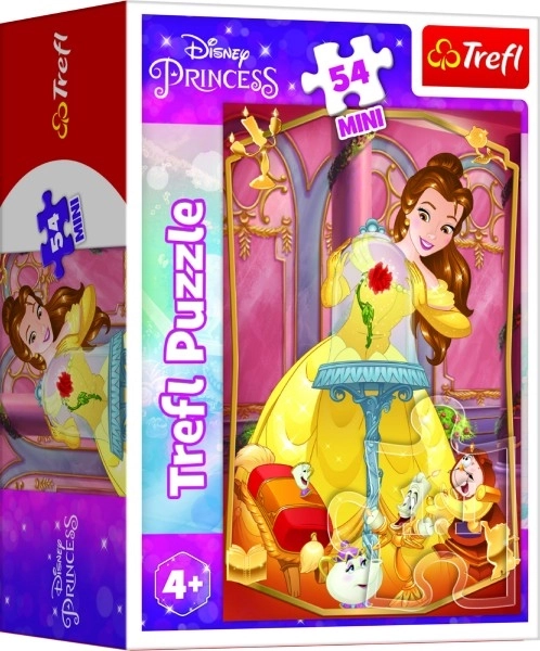 Disney Princess Mini Puzzle