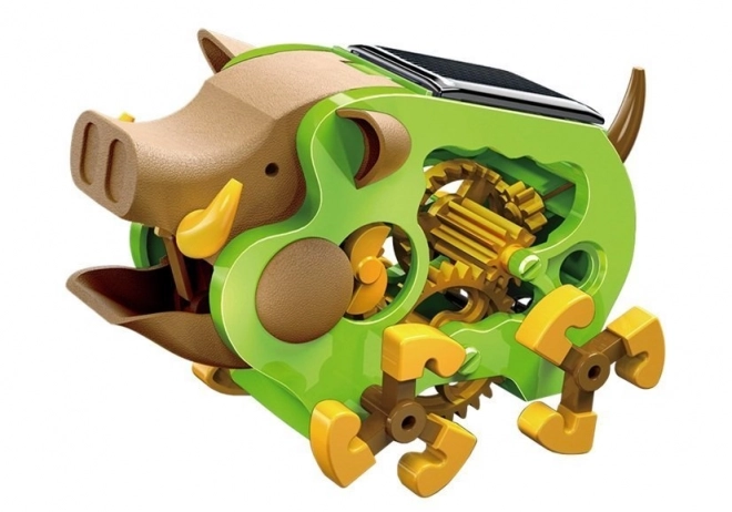 Educational Solar Wild Boar DIY Kit