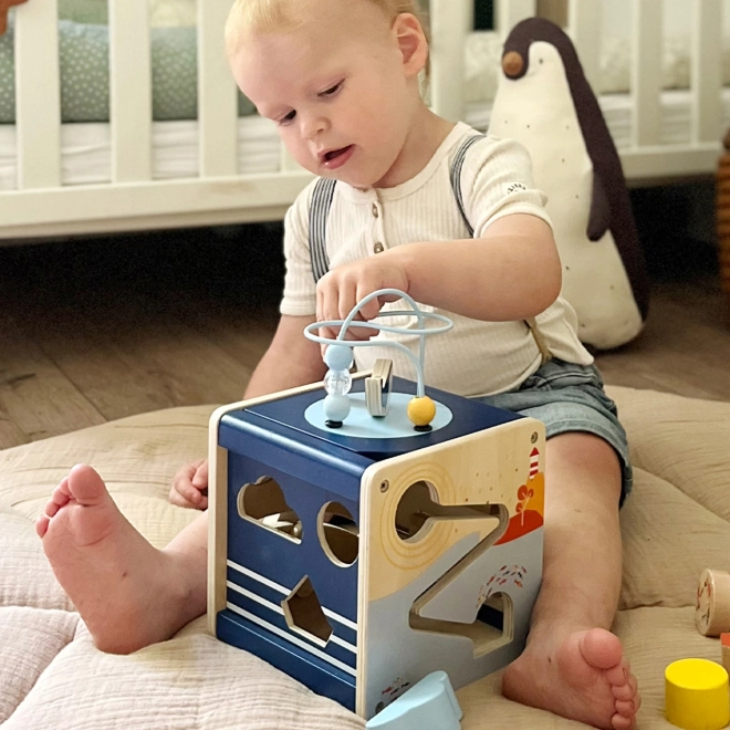 Ocean Adventure Motor Skill Cube