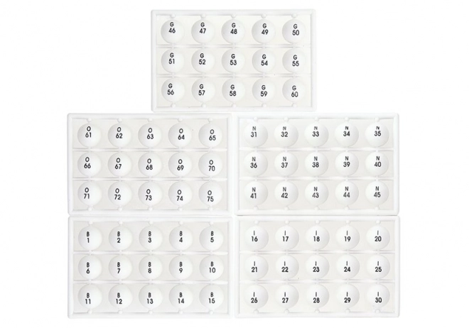 Gioco familiare Bingo Lotto metallo