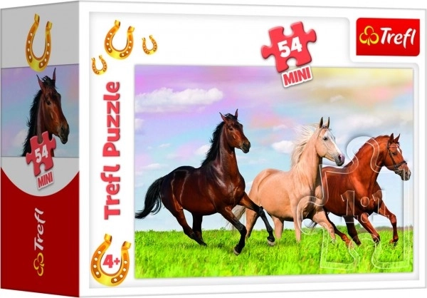 Mini Puzzle With Horses Assortment