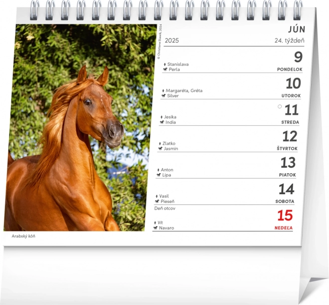 Desk Calendar Poetry of Horses 2025