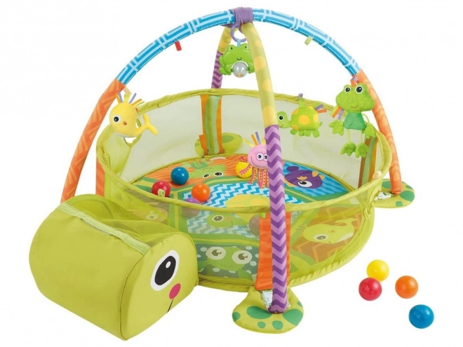 Educational Turtle Play Mat with Balls for Infants